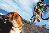 Mountainbiker, dog