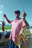 Lobster, Restaurant Scilly Cay, Anguilla, Caribbean