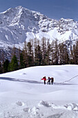 Eine Gruppe Skitourengeher, Skitour, Sulden, Südtirol, Italien