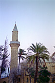 Mosque, Greek part of Cyprus