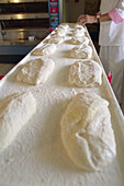 Italian bread, Ciabatta