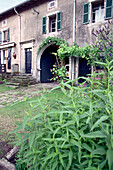 Old House with Garden, Vogesen France