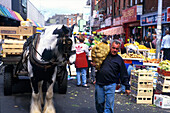 Obst- und Gemuesemarkt, Moorestreet, Dublin Irland