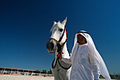 Araber mit Pferd, Pferdezucht, Doha Katar