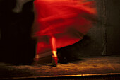 Flamenco Dance, Dance People