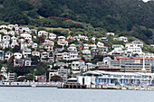 Houses on hill, city new zealand