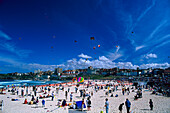 Drachensteigen, Festival of the winds, Bondi Beach, NSW Australien