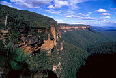 Kings Tableland, Blue Mountains, New South Wales Australia