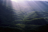 Sunbeams in the valley, Jamison Valley, Blue Mountains, New South Wales, Australia