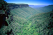 Valley of Waters, Blue Mountains, New South Wales Australia
