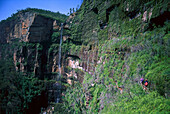 Trekking to Bridal Vail Falls, Blue Mountains, New South Wales Australia