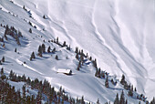 View to a hut near ski slope, Klein Rettenstein, Skiing Region Kitzbuhel, Tyrol, Austria