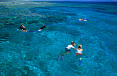 Snorkeling, Heron Island, Great Barrier Reef Queensland, Australia