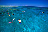 Snorkeling, Heron Island, Great Barrier Reef Queensland, Australia