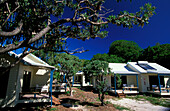 Heron Island resort, Heron Island, Great Barrier Reef Queensland, Australia