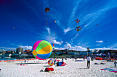 Strandleben, Bondi Beach, NSW Australien