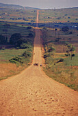 Children walking on a dusty road, Lebombo Mountains, Swaziland, South Africa, Africa