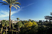 View from La Mamounia hotel at palm trees and the city of Marrakesh, Morocco, Africa