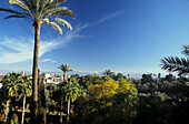 Aussicht vom La Mamounia Hotel auf Palmen und die Stadt Marrakesch, Marokko, Afrika