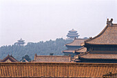 Forbidden City rooftops, Beijing China
