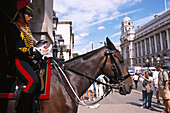 Queens Horseguard, London, England Great Britain