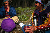Maté Tea, Argentine Tea, Argentinia