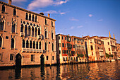 Houses along the Canale Grande, Venice, Veneto, Italy