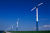 Windweehls, Noordsholland Zeeland, Netherlands