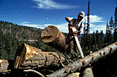 Lumberjack, Bitterroot Valley, Rocky Mountains Montana, USA