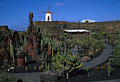 Kakteengarten, Cesar Manrique, Guatiza, Lanzarote Kanarische Inseln, Spanien
