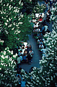 Biergarten, Chinesischer Turm, Englischer Garten, Muenchen Bayern, Deutschland