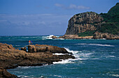 Featherheads, Knysna, Westcape South Afrika