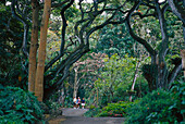 Waimea Falls Park, Northshore, Oahu Hawaii, USA