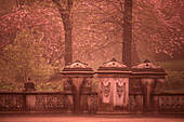 Bethesda Fountain, Central Park, Manhattan New York, USAbuchtit