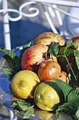 Fruits in the sunlight, Hotel Poseidon, Positano, Amalfitana, Campania, Italy, Europe