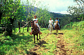 Horse riding in Arenal, Costa Rica, Caribbean, Central America