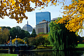 Herbstliche Bäume und Teich in einem Park, Boston, Massachusetts, USA, Amerika