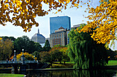 Autumnal trees and pond at a park, Boston, Massachusetts, USA, America