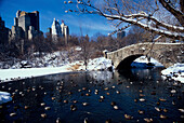 The Ponds, Central Park, Skyline von Central Park South Manhattan, New York, USA