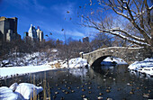 The Pond, Central Park im Winter, Manhattan New York, USA