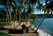 Playa Anadel, Samana, Dominikanische Republik Karibik