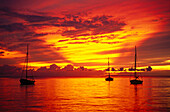 Sonnenuntergang über dem Meer, Bayahibe, Südküste, Dominikanische Republik, Karibik, Amerika