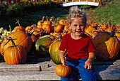 Pumpkin sale, little girl sitting in front of pumpkins in the sunlight, New England, USA, America