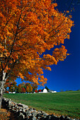Häuser und Bäume in Shakerdorf unter blauem Himmel, Canterbury, New Hampshire, Neuengland, Amerika