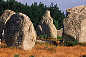 Steinreihen, Carnac, Bretagne, Frankreich Bretagne, Frankreich
