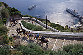 Touristengruppe auf Eseln, Thira, Santorin, Kykladen, Griechenland