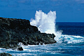 Meer, Lavafelsen, Ile de la Réunion Frankreich, Ind. Ozean