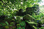 Moosbewachsene Steine vor einer verfallenen Mauer, Isle of Rhum, Schottland, Großbritannien