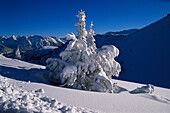 Winterlandschaft, Wank-GAP, Bayern, Deutschland