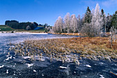 Frozen Pond, Upper Bavaria Germany